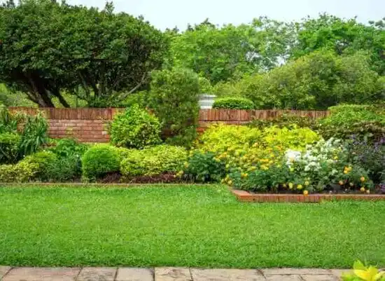 landscaping services Anderson